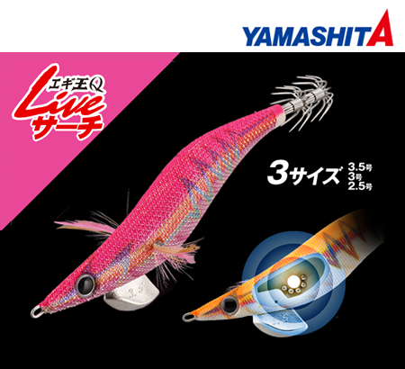 YAMASHITA 야마시타 에기왕 Q 라이브 서치 3.5